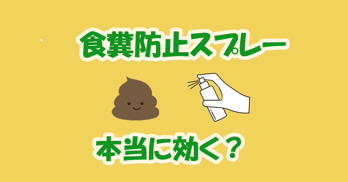 食糞防止　スプレー　効く